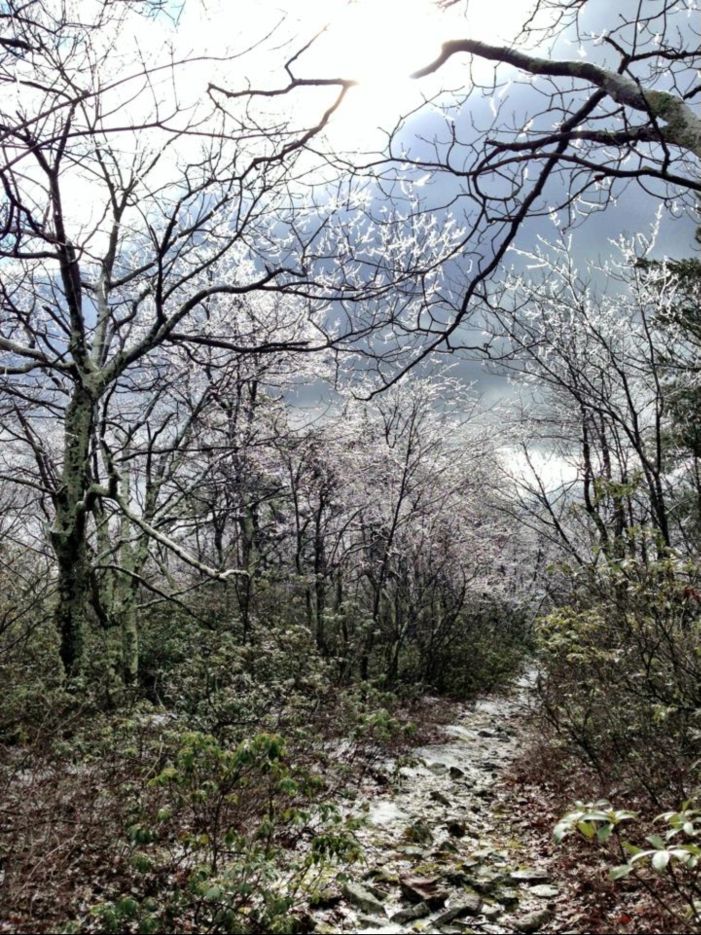 Iced trail on the Wolf Gap route, October 2014 — between Sandstone Spring and Little Schloss Road